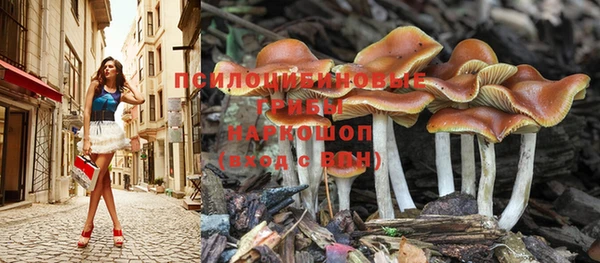 MDMA Каменск-Шахтинский