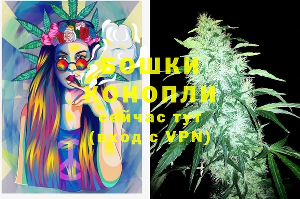 прущая мука Каменногорск