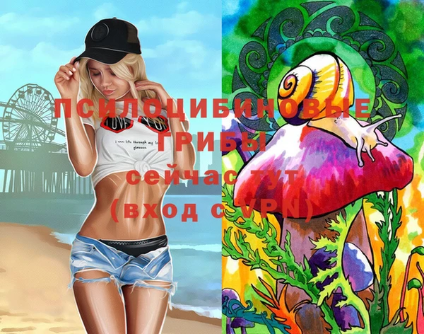MDMA Premium VHQ Каменка