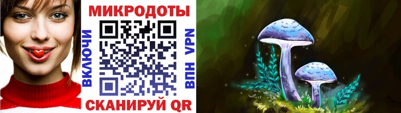Псилоцибиновые грибы Psilocybe  купить закладку  Новошахтинск 